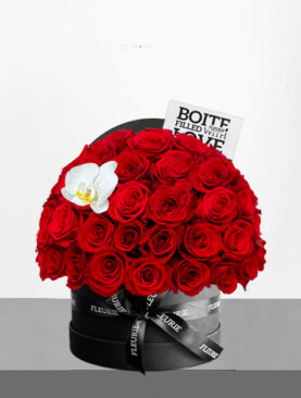 ROUND BLACK BOX – HALF DOME