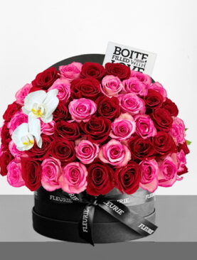 RED & PINK HALF DOME ROSES