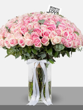 pink ROSES IN VASE