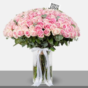 pink ROSES IN VASE