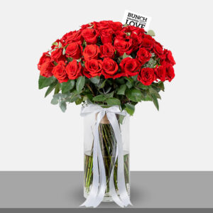 RED ROSES IN VASE - m