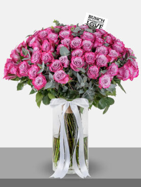 purple ROSES IN VASE - l