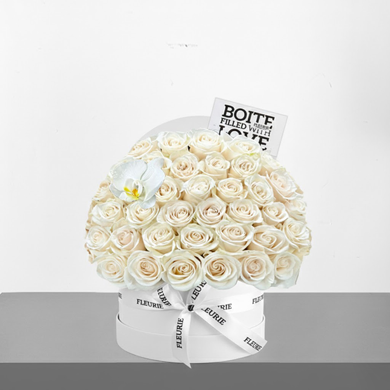 ROUND WHITE BOX – HALF DOME