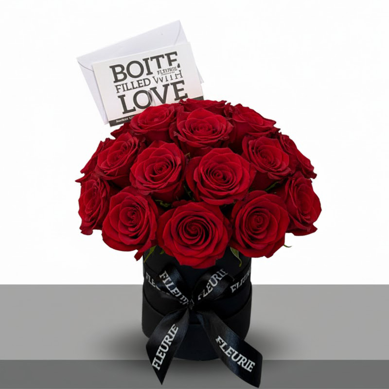 BLACK BOX FULL DOME - MINI