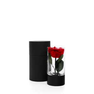 Eternal Rose Vase - S