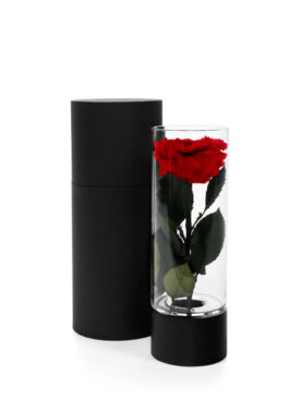 Eternal Rose Vase - M