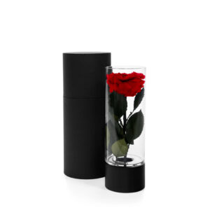 Eternal Rose Vase - M