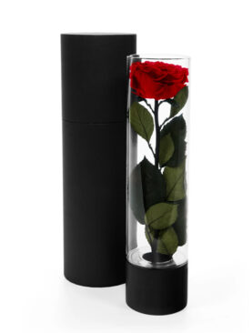 Eternal Rose Vase - L