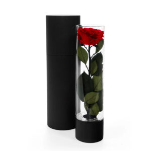 Eternal Rose Vase - L