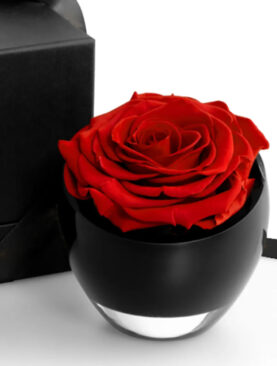ETERNAL ROSE BOWL VASE
