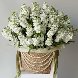 WHITE MATTHIOLA BASKET