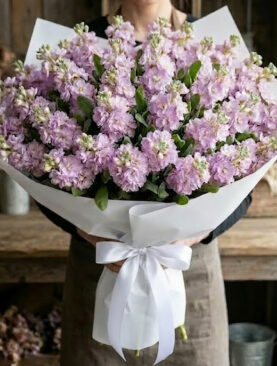 PURPLE MATTHIOLA BOUQUET