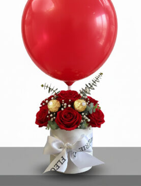 WHITE BOX - Mini Mignon