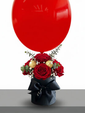 BLACK BOX - Mini Mignon