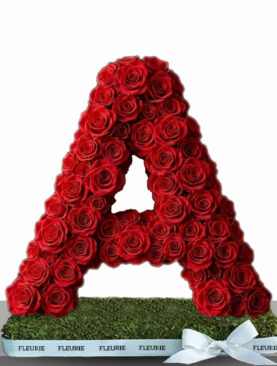 FLORAL LETTERS - RED