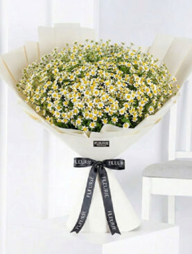 DIOR DAISY BOUQUET