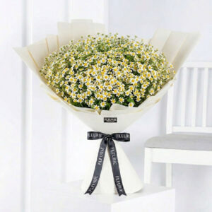 DIOR DAISY BOUQUET