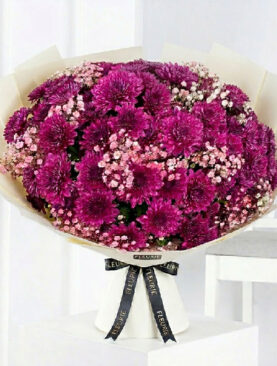 PURPLE CHRYSANTHEMUMS WITH GYPSOPHILLA