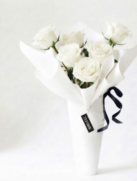 Simple white Half Dozen