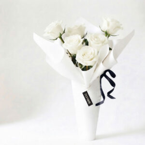 Simple white Half Dozen